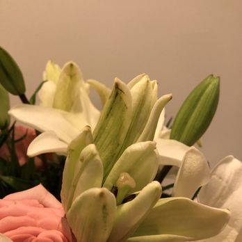 Blanche Darby Florist - More... - Florists Near Me - Mount Pleasant, South Carolina