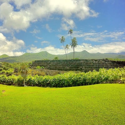 Kahanu Garden, National Tropical Botanical Garden by null
