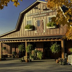 Jackson's Orchard & Nursery