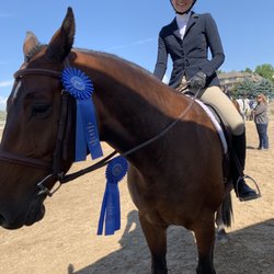 Equine Pavilion - Champion both weeks our star Capriccio