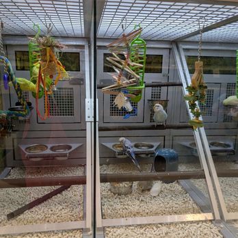 PetSmart - Birds - Pet Stores Near Me - Nanuet, New York PetSmart - Birds - Pet Stores Near Me - Nanuet, New York