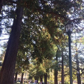 Town Plaza Park - From where I am seated - Parks Near Me - Los Gatos, California Town Plaza Park - From where I am seated - Parks Near Me - Los Gatos, California