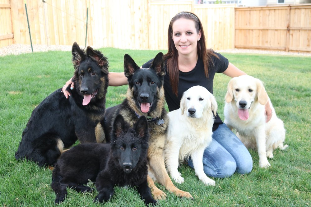 KMK9 - pet boarding facility in Berthoud, CO