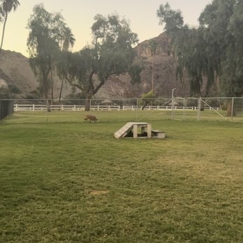 Echo Lodge Resort - Dog park - Hotels Near Me - Parker Dam, California Echo Lodge Resort - Dog park - Hotels Near Me - Parker Dam, California