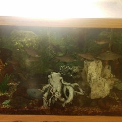 Shuksan Healthcare Center - Very crowded fish