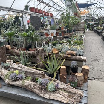 McDonald Garden Center - Landscape Architects or Designers Near Me - Virginia Beach, Virginia McDonald Garden Center - Landscape Architects or Designers Near Me - Virginia Beach, Virginia