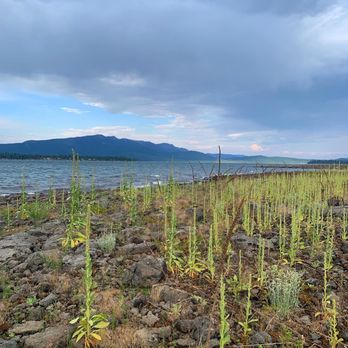 Lake Almanor - West shore after a storm - Lakes Near Me Lake Almanor - West shore after a storm - Lakes Near Me