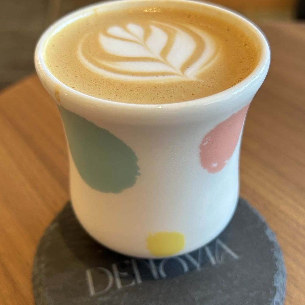Denovia - Cortado - Coffee & Tea Near Me - Toronto, Ontario Denovia - Cortado - Coffee & Tea Near Me - Toronto, Ontario