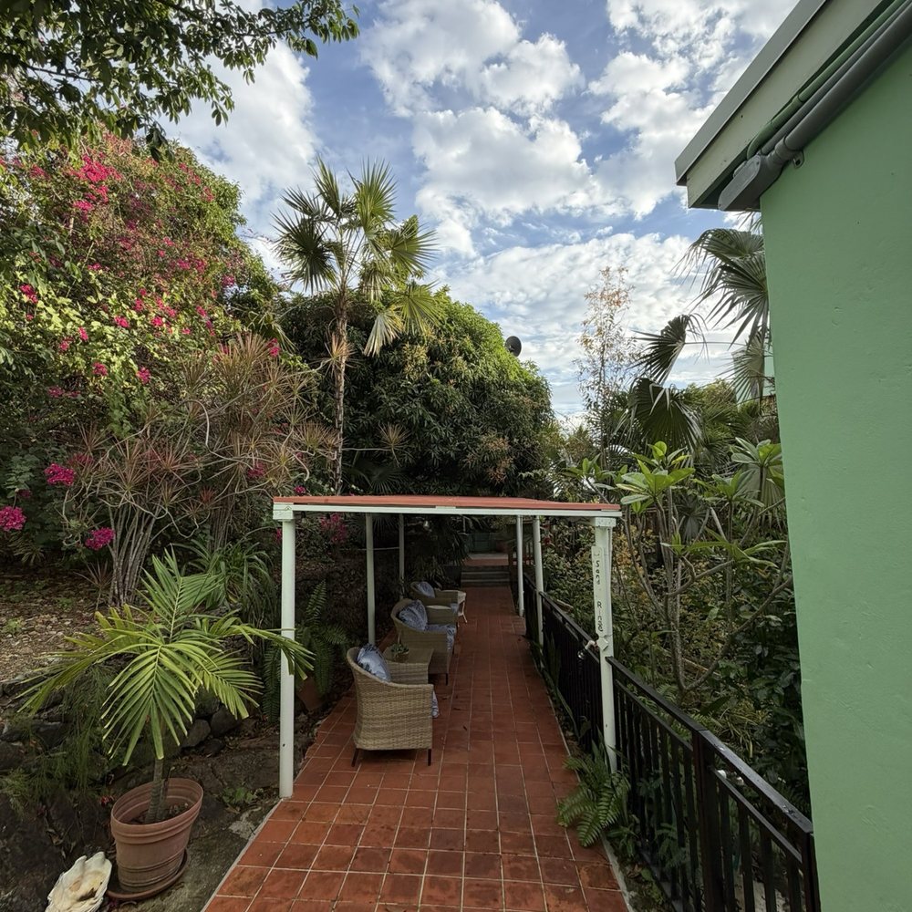 The Green Iguana Hotel - Hotels Near Me - St Thomas, Virgin Islands The Green Iguana Hotel - Hotels Near Me - St Thomas, Virgin Islands