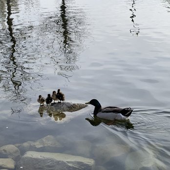 Nielsens Grove Park - Parks Near Me - Orem, Utah