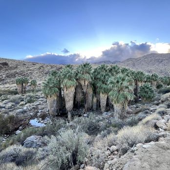 Indian Canyons - Parks Near Me - Palm Springs, California