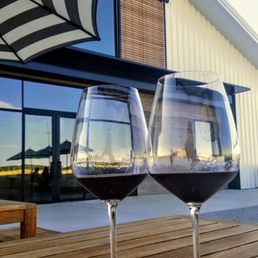 Syrah on the patio