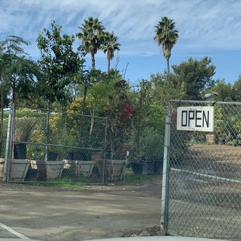 Sunsol Nursery - Nurseries & Gardening Near Me - Escondido, California