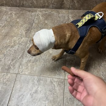 Garza Veterinary Clinic - Veterinarians Near Me - Houston, Texas Garza Veterinary Clinic - Veterinarians Near Me - Houston, Texas