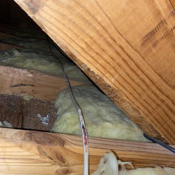 Wildlife Pro - Chewed electrical wire. Fire hazard - Wildlife Control Near Me - Splendora, Texas