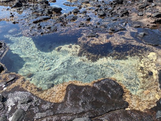 Halona Beach Cove by null