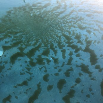 Aquatic Solutions - Pool & Hot Tub Service Near Me - Riverside, California