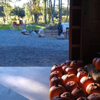 Schartner Farms - Pumpkins in the barn. - Farmers Market Near Me - Bolton, Massachusetts Schartner Farms - Pumpkins in the barn. - Farmers Market Near Me - Bolton, Massachusetts
