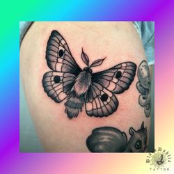 Black Dahlia Tattoo Artist - Black and grey moth by Nino Burgos