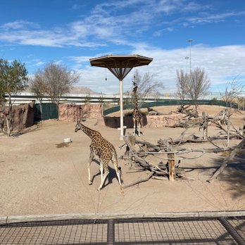 El Paso Zoo - Aquariums Near Me - El Paso, Texas El Paso Zoo - Aquariums Near Me - El Paso, Texas