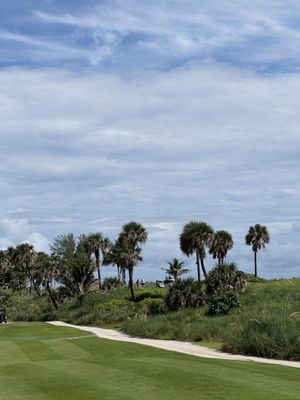 Palm Beach Par-3 Golf Course by null