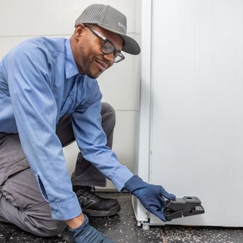 Brooks Pest Solutions - Pest Control Near Me Brooks Pest Solutions - Pest Control Near Me