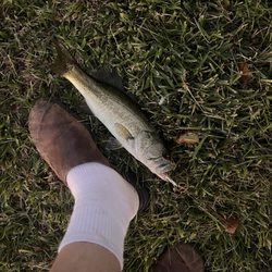 Houston West RV Park - Bass