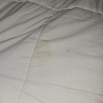 Brookdale Lodge - Stained comforter. - Hotels Near Me - Brookdale, California Brookdale Lodge - Stained comforter. - Hotels Near Me - Brookdale, California