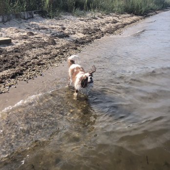 Mud Creek Dog Park - Dog Parks Near Me - East Patchogue, New York