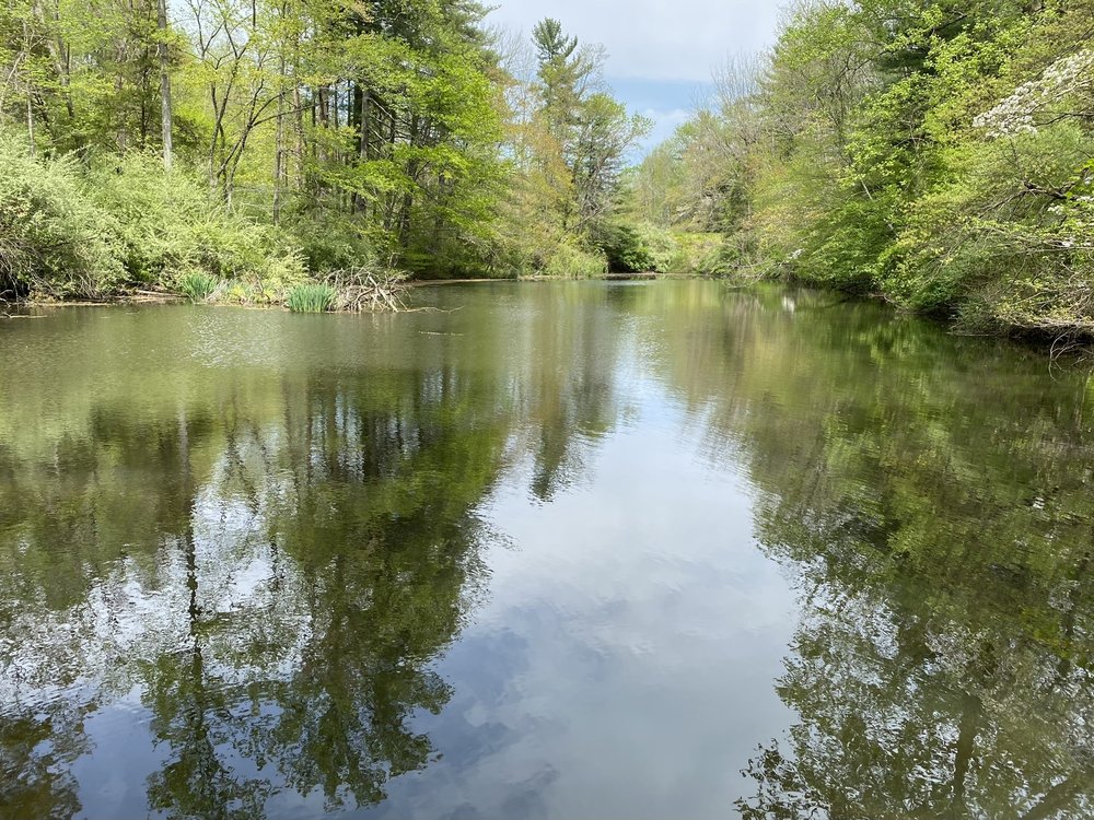 Mountain Lakes Nature Preserve