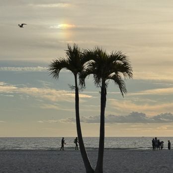 Bongos Beach Bar and Grille - Bars Near Me - St. Pete Beach, Florida