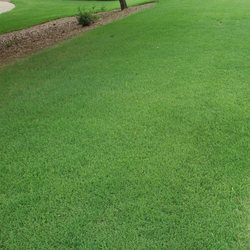 Magnolia Lawn - One of our beautiful lawns in Suwanee!