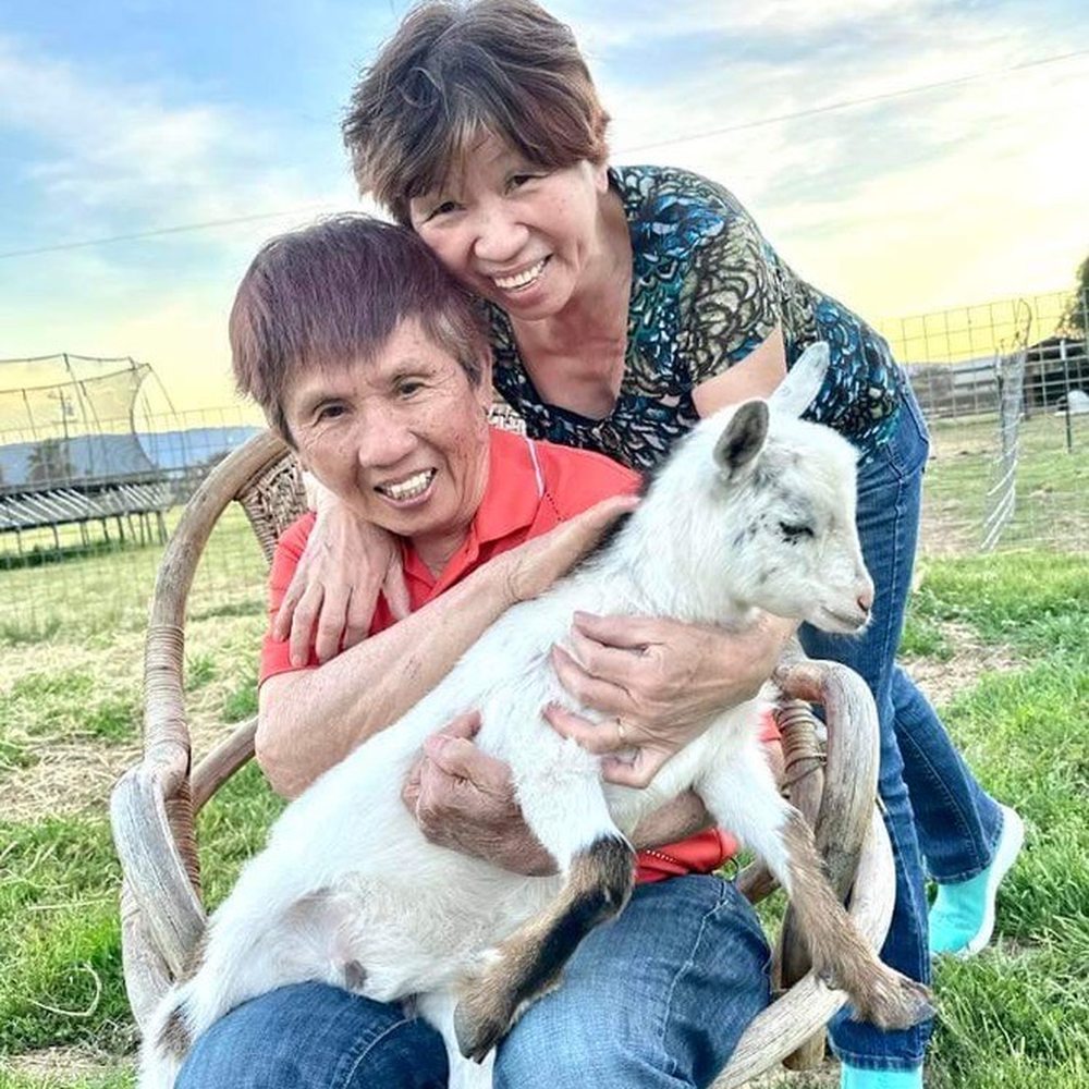 Back-to-Eden Ranch - Goat - Attraction Farms Near Me - Gilroy, California Back-to-Eden Ranch - Goat - Attraction Farms Near Me - Gilroy, California