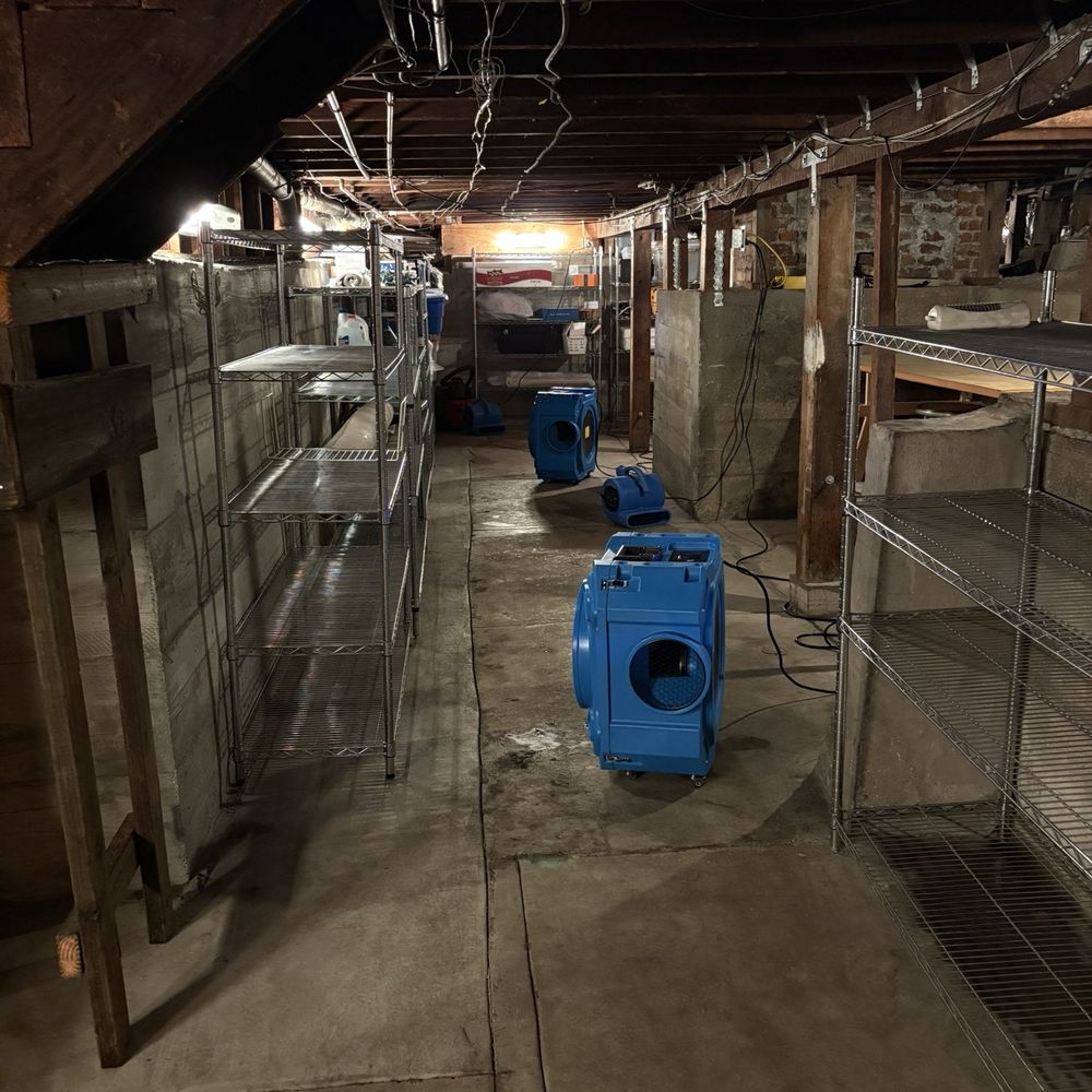 All Action Water Damage - Damage Restoration Near Me - Burlingame, California