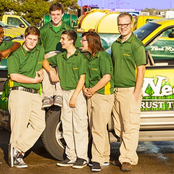 Weed Man - Pest Control Near Me - Whitehouse, Texas Weed Man - Pest Control Near Me - Whitehouse, Texas