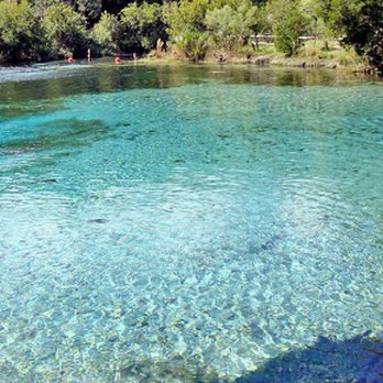Ocala National Forest - Springs, Ocala National Forrest has a few! - Parks Near Me - Silver Springs, Florida