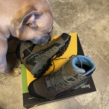 REI - Pupper checking them out lol - Bikes Near Me - Oakbrook Terrace, Illinois