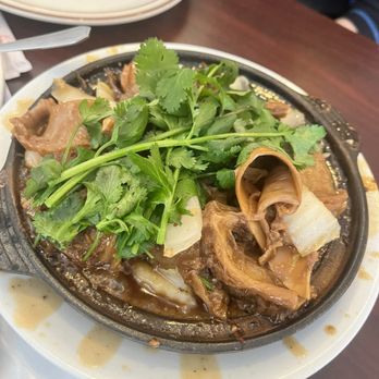 Lucky Palace Chinese Restaurant - 牛腩煲 - Chinese Near Me - Boise, Idaho Lucky Palace Chinese Restaurant - 牛腩煲 - Chinese Near Me - Boise, Idaho