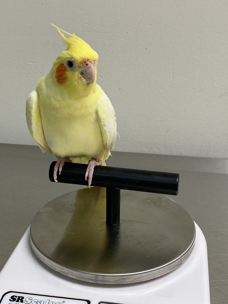 STREET ROAD ANIMAL HOSPITAL Updated September 2024 87 Photos & 46