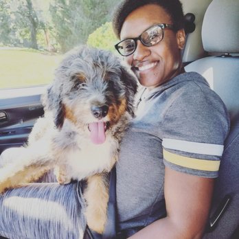 Savannah Carriers - Transportation of this very well behaved boy. Can you believe her is only 11 weeks - Pet Transportation Near Me Savannah Carriers - Transportation of this very well behaved boy. Can you believe her is only 11 weeks - Pet Transportation Near Me