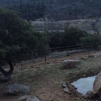 Lake Cuyamaca Lodge - Friendly Horses ready to greet you! - Hotels Near Me - Julian, California