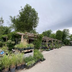 Arbor Garden Centre and Nursery