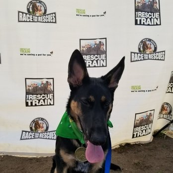 Race for the Rescues 5K/10K - Races & Competitions Near Me - Pasadena, California Race for the Rescues 5K/10K - Races & Competitions Near Me - Pasadena, California