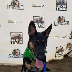 Race for the Rescues 5K/10K