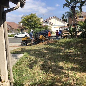 Pena Tree Service - This stump grinder was awesome to see in person. - Tree Services Near Me Pena Tree Service - This stump grinder was awesome to see in person. - Tree Services Near Me