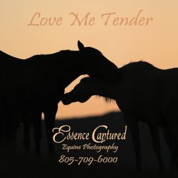 Lori Sortino - Fine Art Gallery: http://essencecaptured.shootproof.com/gallery/art