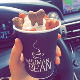 Puppuccino Puppuccino