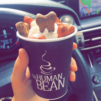 The Human Bean - Puppuccino - Coffee & Tea Near Me - Medford, Oregon The Human Bean - Puppuccino - Coffee & Tea Near Me - Medford, Oregon