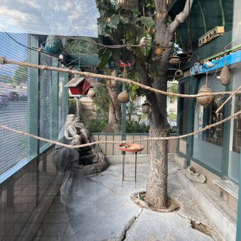 Live Oak Cafe - They have birds - Breakfast & Brunch Near Me - Santa Barbara, California Live Oak Cafe - They have birds - Breakfast & Brunch Near Me - Santa Barbara, California