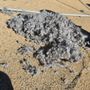 Photo of Mr Lint